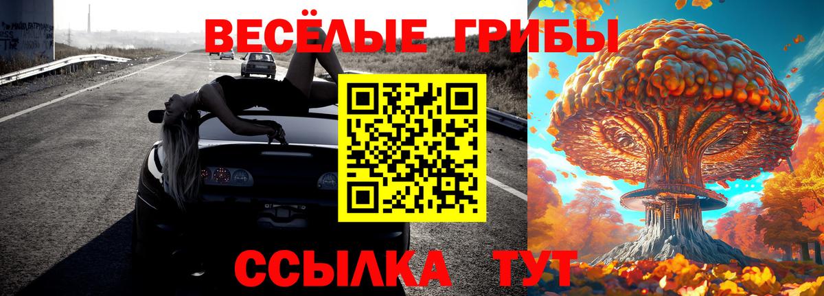 Псилоцибиновые грибы Cubensis  продажа наркотиков  Кандалакша  Вход с VPN 